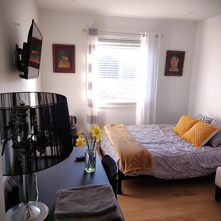 Nimo Homestay Guelph Kültér fotó