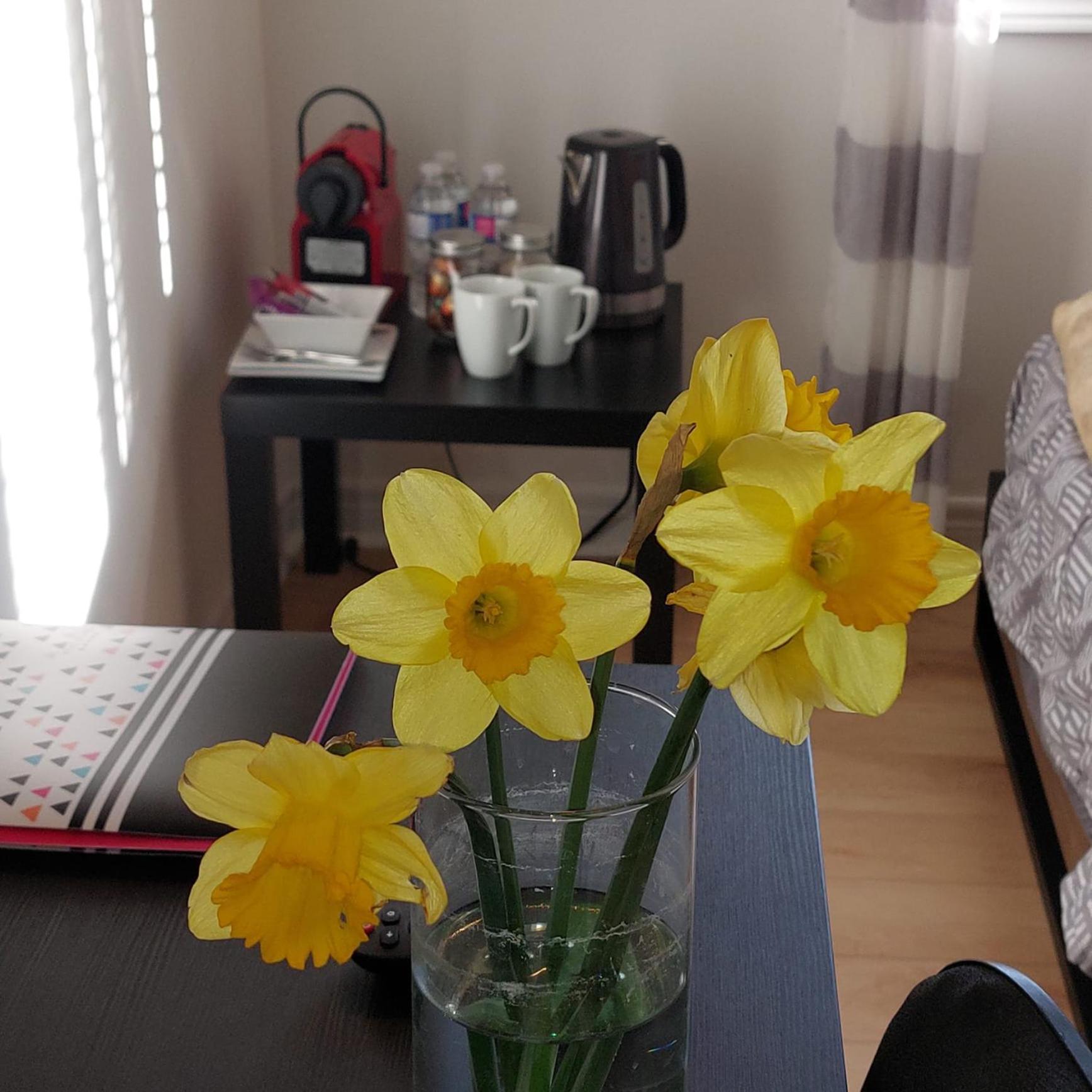 Nimo Homestay Guelph Kültér fotó